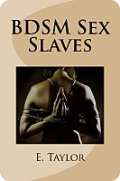 BDSM Sex Slaves book
